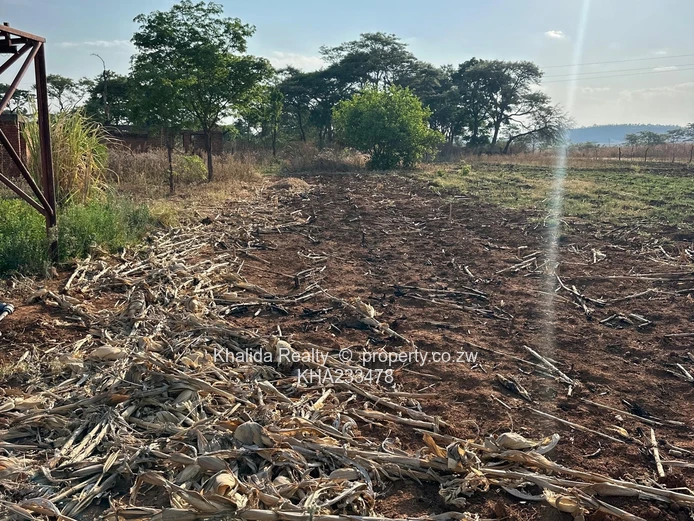 Orange Grove Property for Sale in Chinhoyi Argo-Residential  (Sole Mandate)