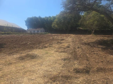 Commercial & Industrial Land