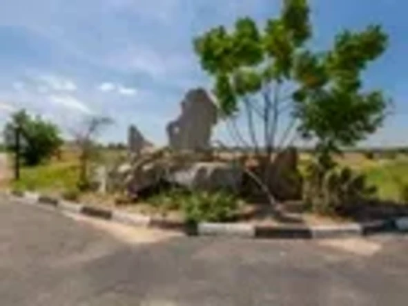 Stands & Residential Land