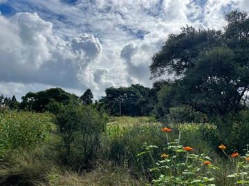 Farm & Agricultural Land