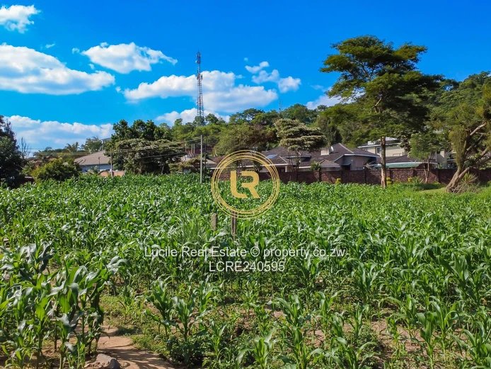 Prime Spacious Residential Stand