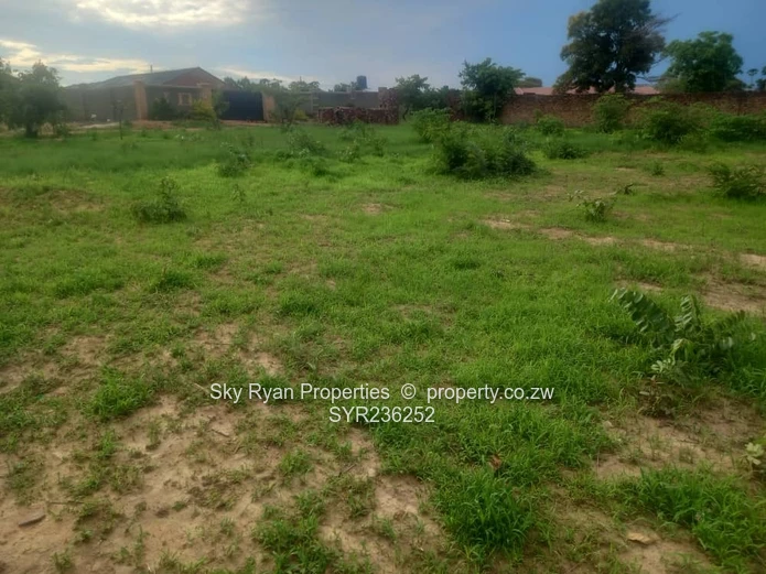 Chinhoyi Mapako Stand For Sale