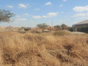 Stands & Residential Land