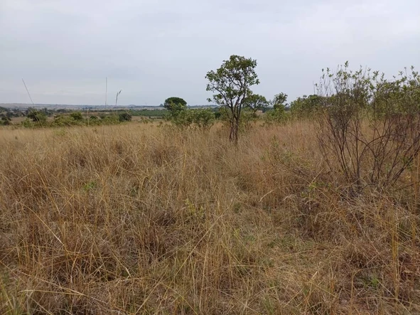 Farm & Agricultural Land