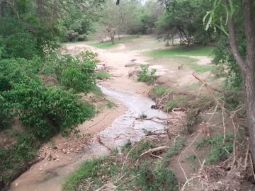 Farm & Agricultural Land