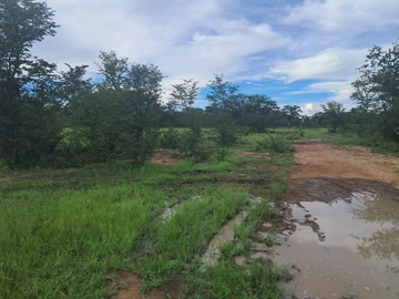 Farm & Agricultural Land