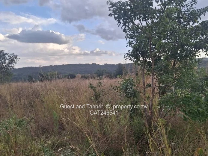 Prime Residential Stand for Sale – Crowhill