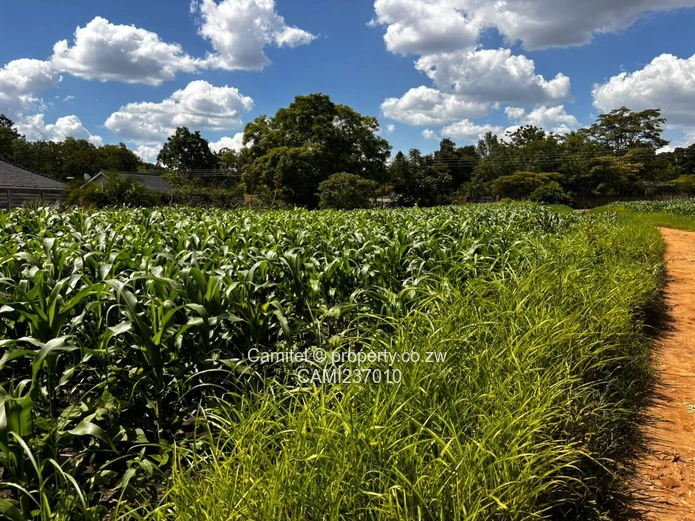 Subdividable 6,705 m² Marlborough deeds available — Walled, Main 