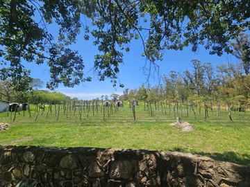 Farm & Agricultural Land