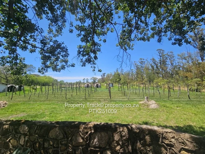 Quick Sale - 8Ha Agro-Residential Plot