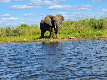 Commercial & Industrial Land