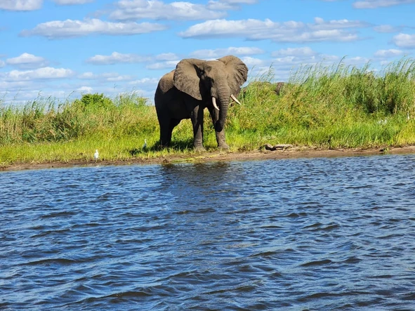 Commercial & Industrial Land