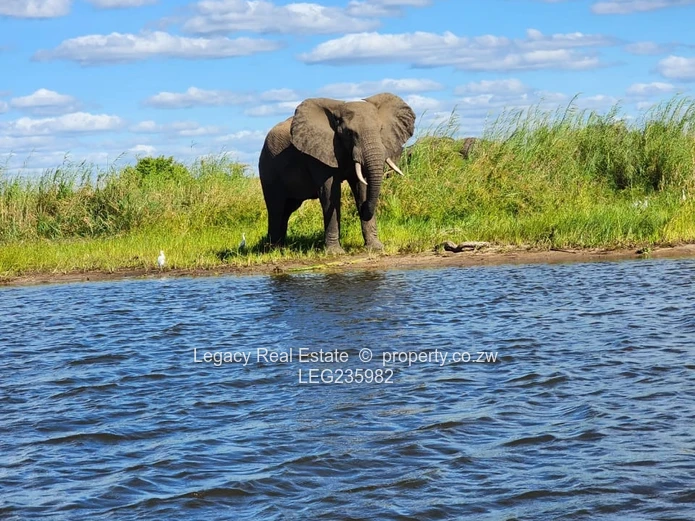 A Once-in-a-Generation Zambezi Riverfront Opportunity,Two Private Islands & a Prime Mainland Estate 
