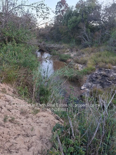 Plots with a river