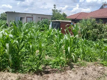 Stands & Residential Land