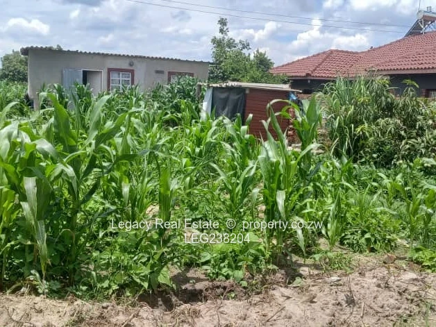 Hot  Deal – Glaudina Marwende Stand For  Quick Sale