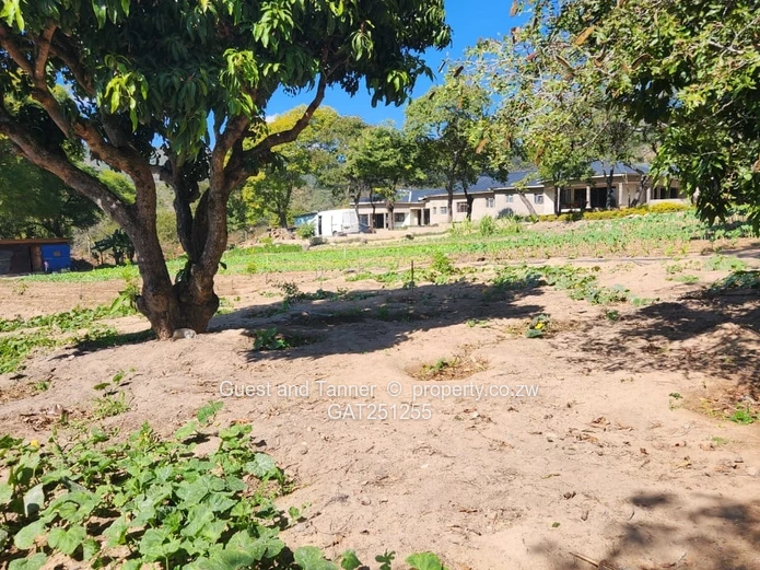 Luxury 6-Bedroom Mansion for Sale – Fern Valley, Mutare