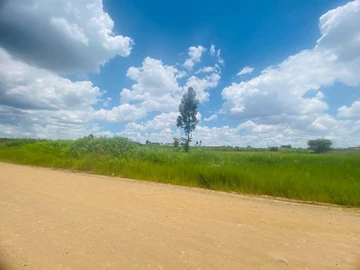 Commercial & Industrial Land