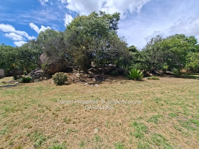 Spacious. Immaculate 6-Bedroom Home/Office Setup