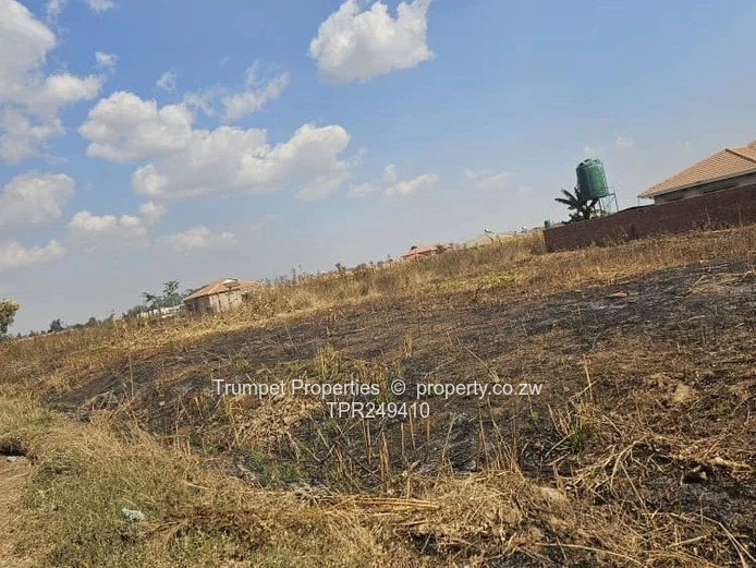 6ha Arable & Grazing Farm in Wedza – Gravel Road Access (Sole Mandate)