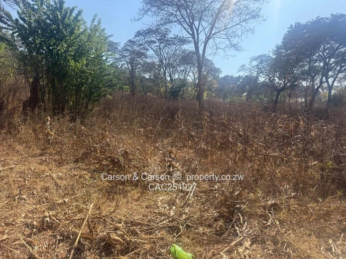 Residential stand for sale