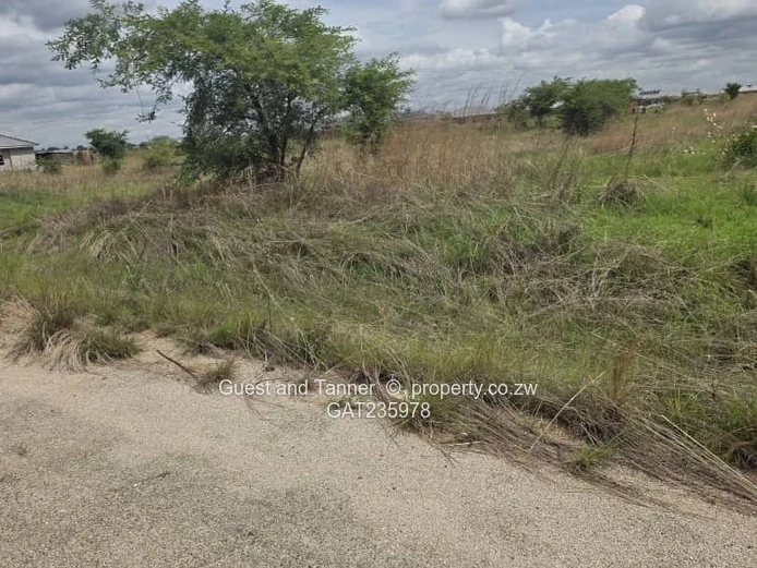 Residential Stands for Sale in Shineplus Gated Community – Prime Location Near Haydon and New City
