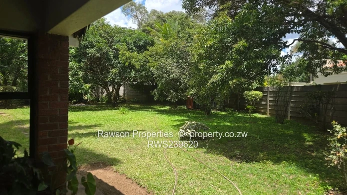 New Mandate - Vainona Gem