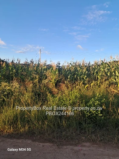 Damofalls Extension Vacant stand for sale!