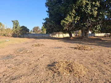Stands & Residential Land