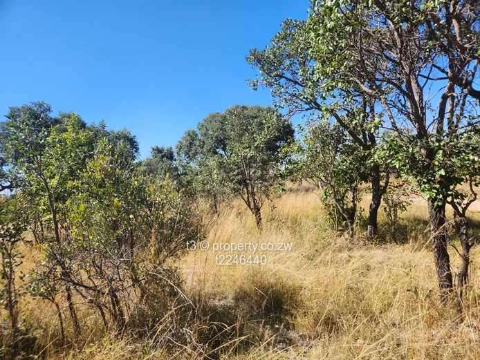  Darwendale Farm - 400 hectares 
