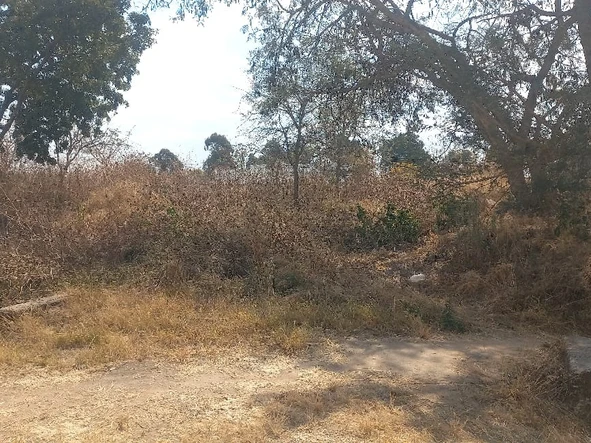 Prime Residential cluster Land in Arlington gated Deeds,Electricity, sewer,water, roads Harare South