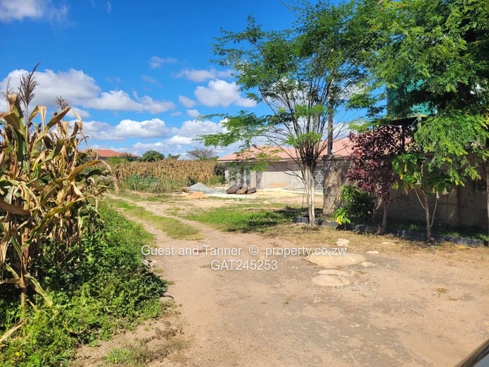 Stand For Sale  In Crowhill