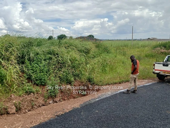 Pomona Nyeredzi Ridge Stand For Sale 