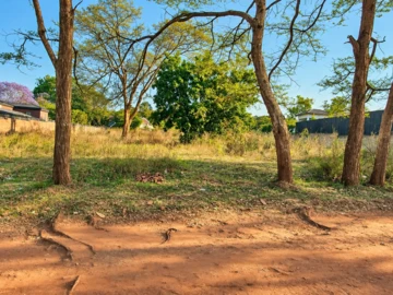 Stands & Residential Land