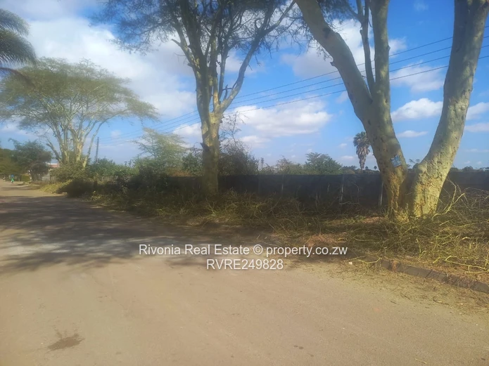 700m² Bluff Hill Stand — Secure, Tarred & Serviced