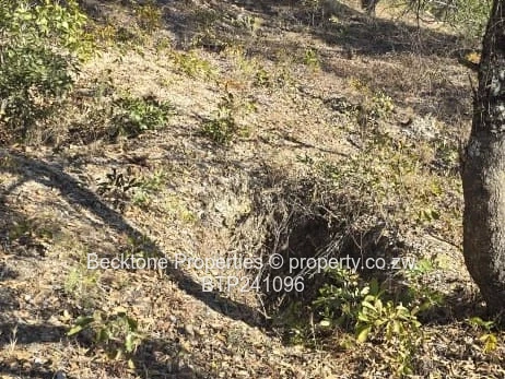 428ha Bubi Grazing Farm with Cattle Kraal & Dip Tank