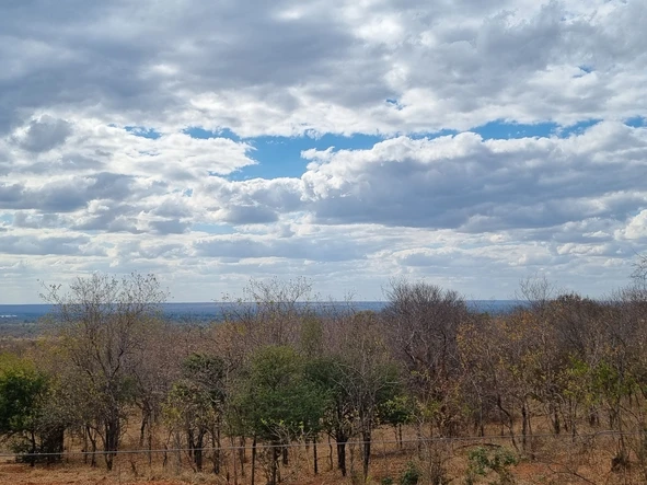 Commercial & Industrial Land