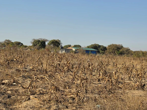 Farm & Agricultural Land