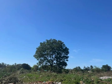 Commercial & Industrial Land