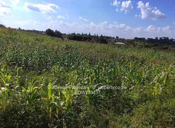 2594sqm stand in Rydale Ridge