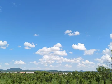 Commercial & Industrial Land