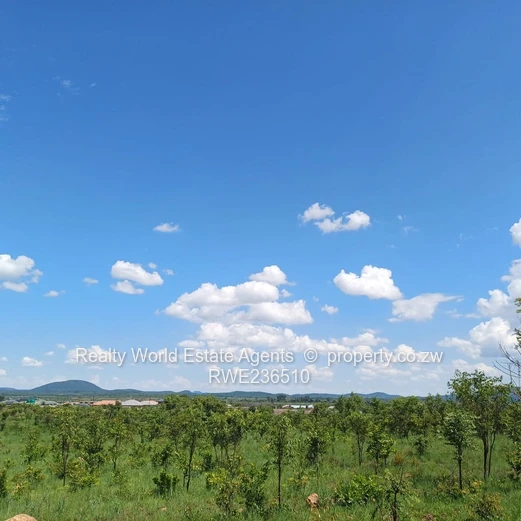 Masvingo Clipsham Stand For A School 