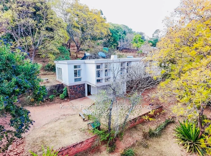 4 Bedroom house in Greystone Park with exceptional design potential.