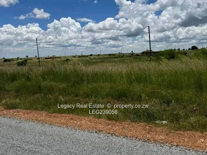 Prime Carrick Creagh Estate Stands For Sale