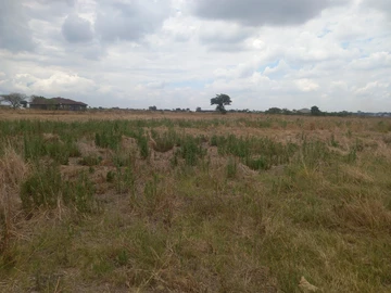 Farm & Agricultural Land