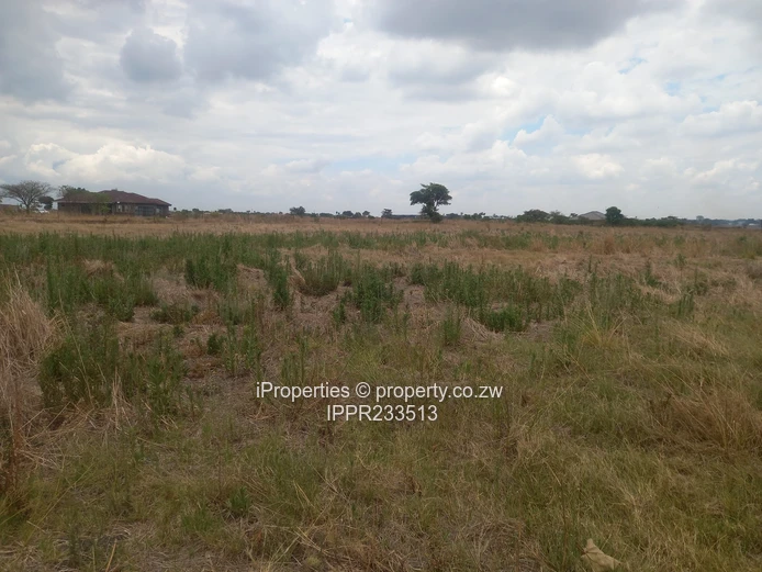 A 2.6Ha plot in Rainham is available for sale at $130000