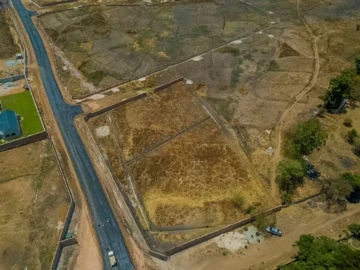 Stands & Residential Land