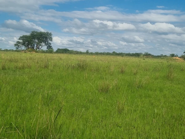 Farm & Agricultural Land