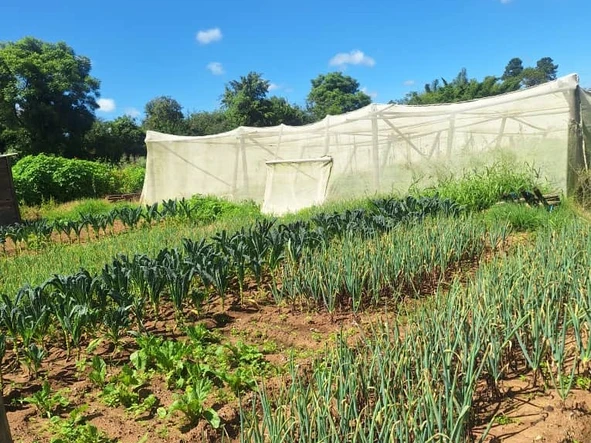 Farm & Agricultural Land