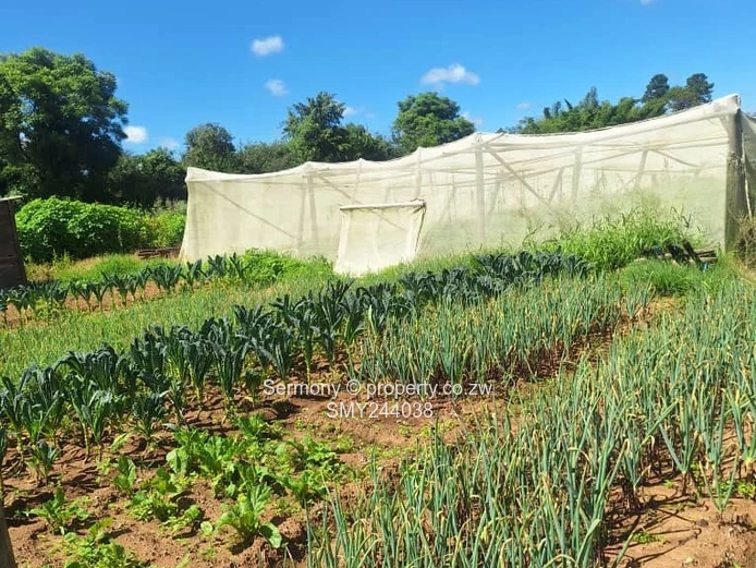 Agro - Residential Plots For Sale